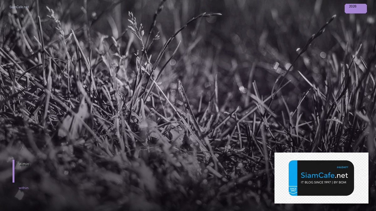 Within แปลว่าอะไร — วิธีตั้งค่าและใช้งานจริงพร้อมตัวอย่าง