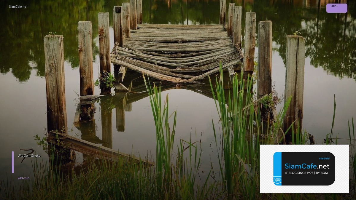 Wld Coin คืออะไร — คู่มือ Crypto ฉบับสมบูรณ์ 2026 — วิธีตั้งค่าและใช้งานจริงพร้อมตัวอย่าง