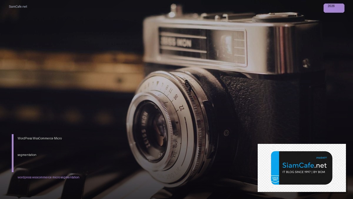 wordpress woocommerce micro segmentation