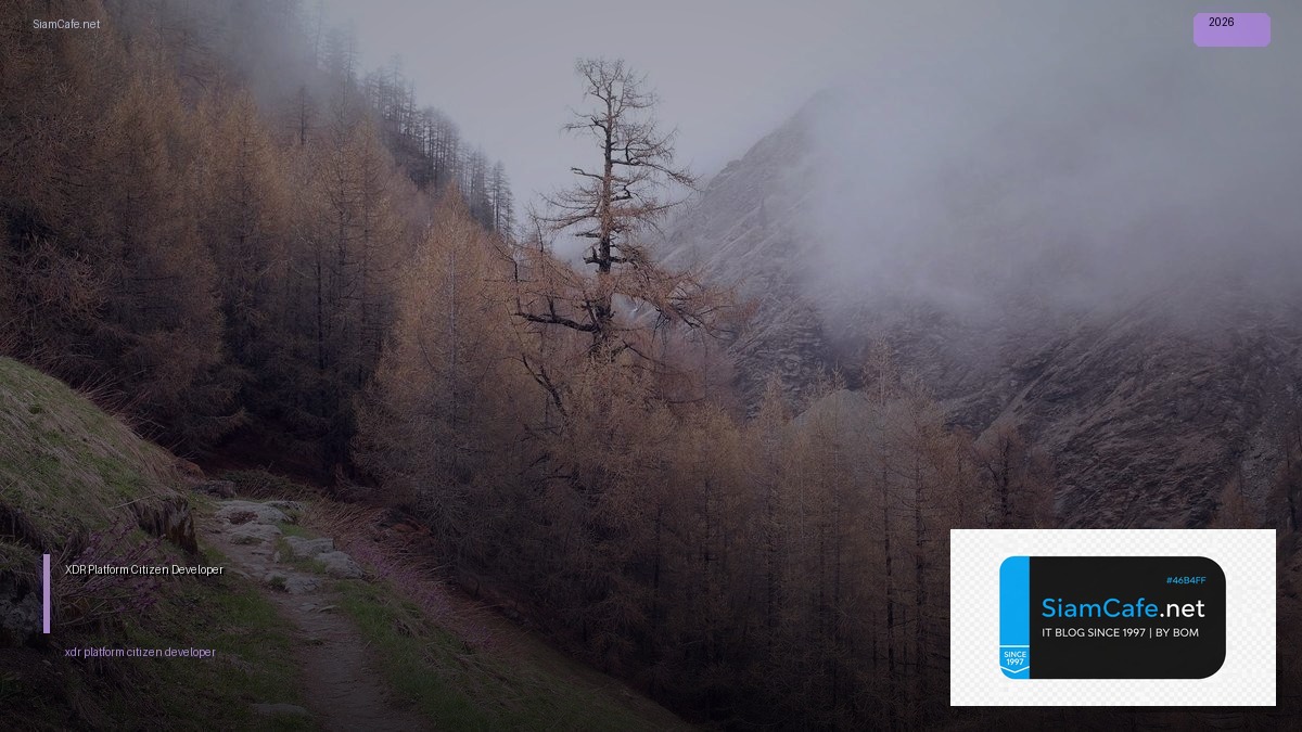 xdr platform citizen developer