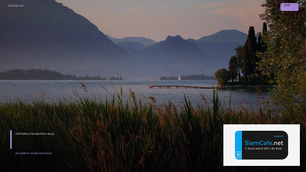 xdr platform remote work setup