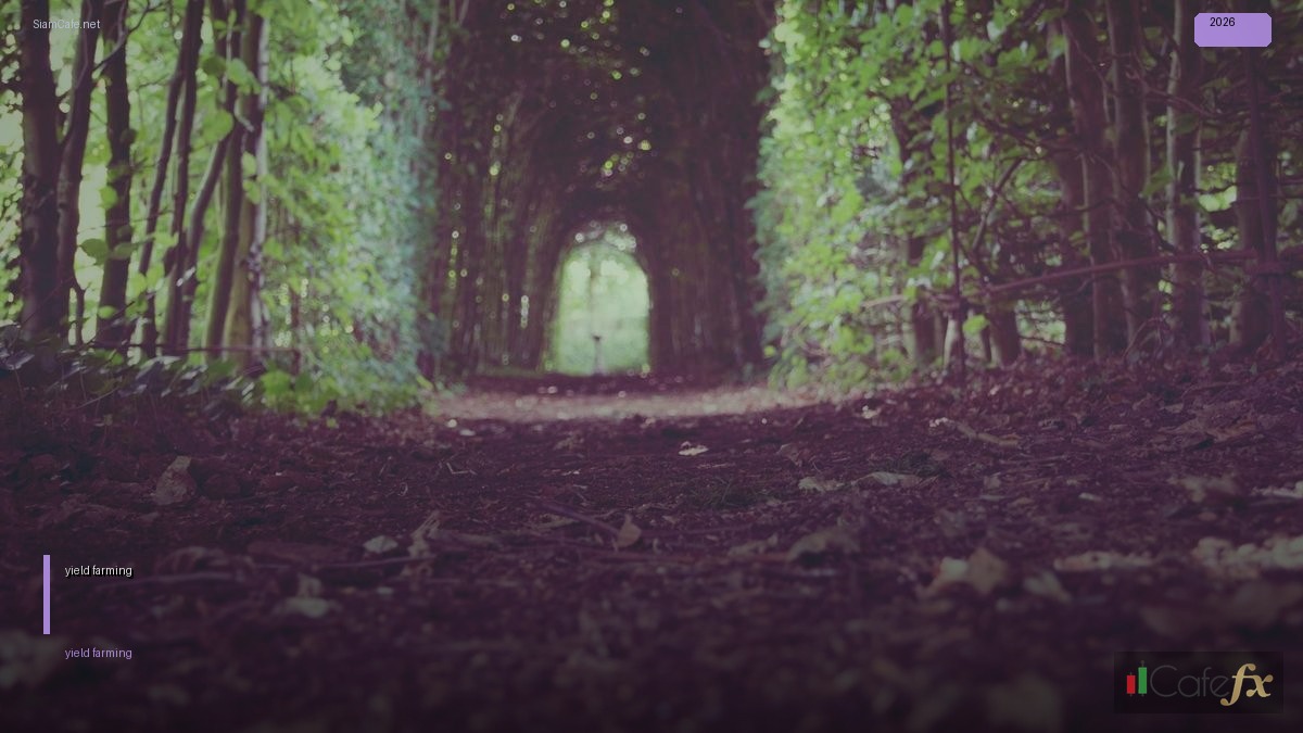 yield farming ทํายังไง — คู่มือฉบับสมบูรณ์ 2026 | SiamCafe Blog