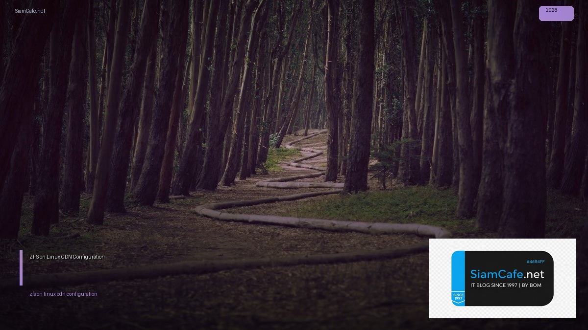 zfs on linux cdn configuration