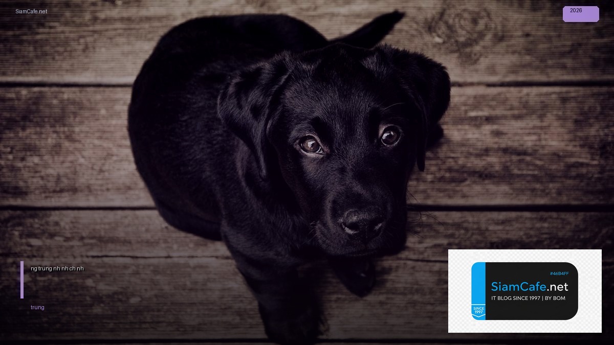 đường trung bình của hình chữ nhật