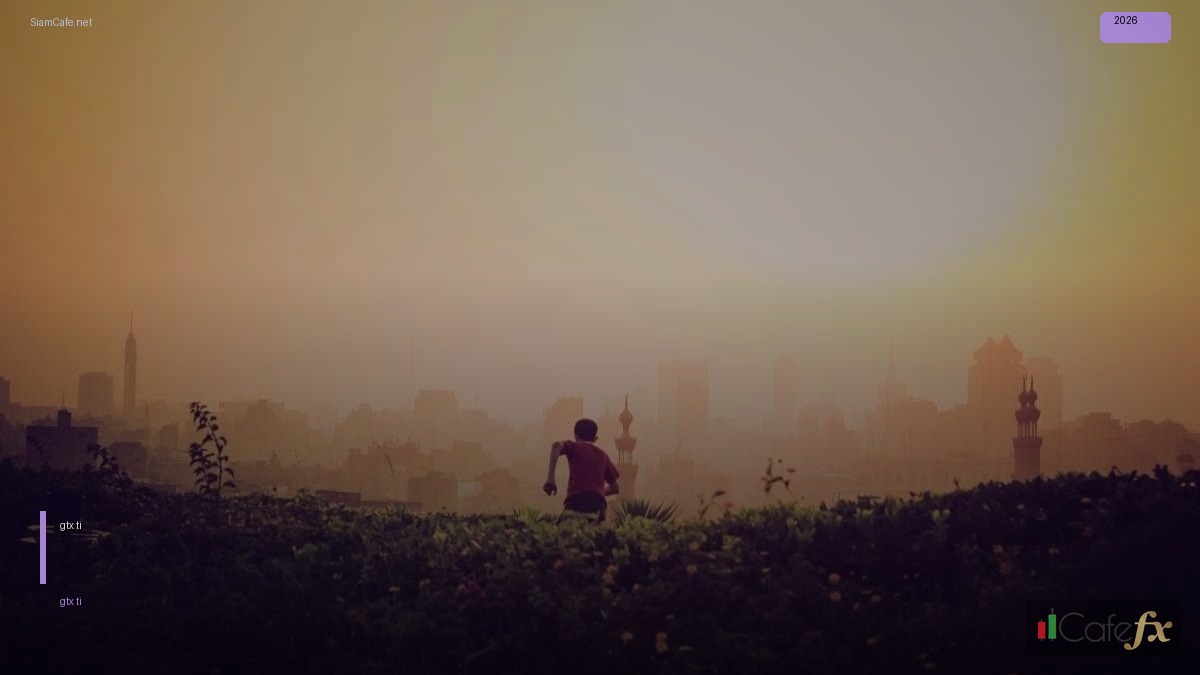 การ์ดจอ gtx 1050 ti — วิธีตั้งค่าและใช้งานจริงพร้อมตัวอย่าง