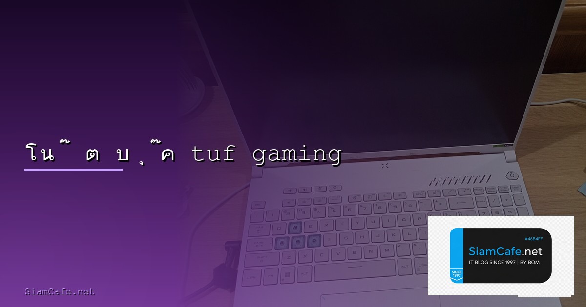 นกมวยไทย — วิธีตั้งค่าและใช้งานจริงพร้อมตัวอย่าง