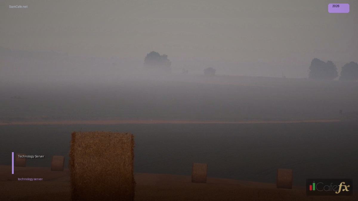 มาร์จิ้นคืออะไร — วิธีตั้งค่าและใช้งานจริงพร้อมตัวอย่าง