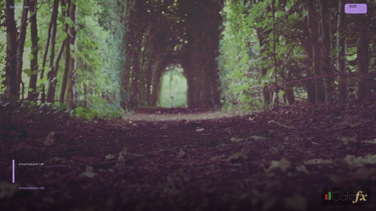 สร้างเว็บไซต์ขายของ dreamweaver cs6 — ทุกสิ่งที่ต้องรู้ในปี 2026 | SiamCafe Blog