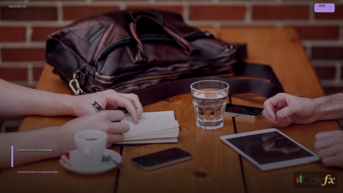 เนื้อเพลง head shoulders knees and toes ภาษาไทย | SiamCafe Blog