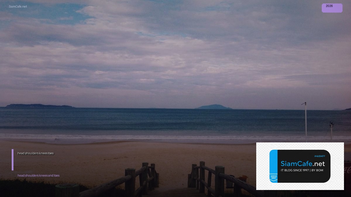 เนื้อเพลง head shoulders knees and toes | SiamCafe Blog