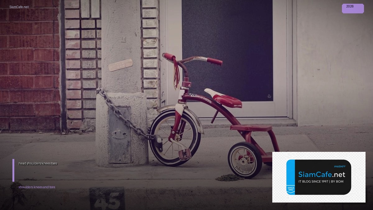 เพลงhead shoulders knees and toes | SiamCafe Blog