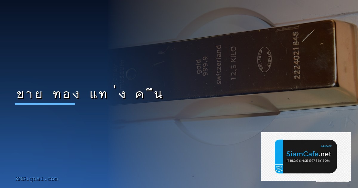 แฟลชไดรฟ — คู่มือฉบับสมบูรณ์ 2026 — คู่มือฉบับสมบูรณ์ 2026 | SiamCafe Blog