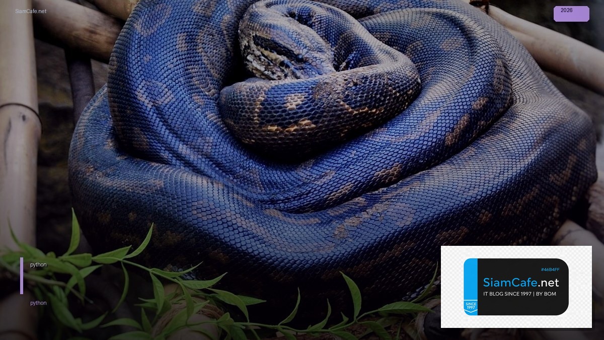 ไลบรารี python คือ อะไร — คู่มือฉบับสมบูรณ์ 2026 | SiamCafe Blog