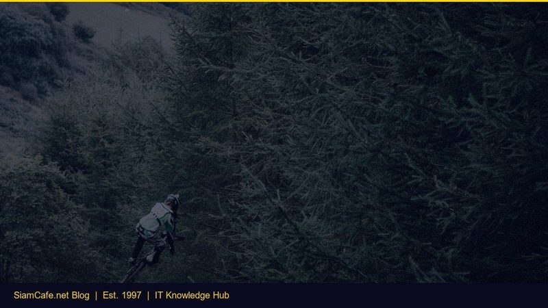 Data Analytics — คู่มือฉบับสมบูรณ์