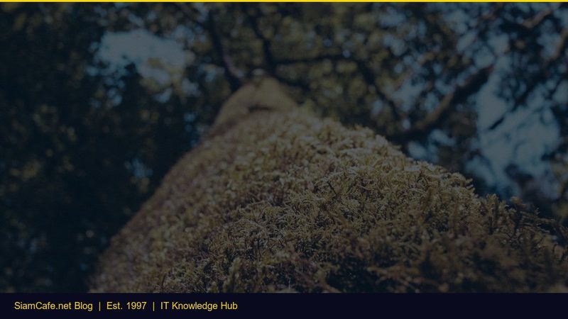 Database เลือกอะไรดี