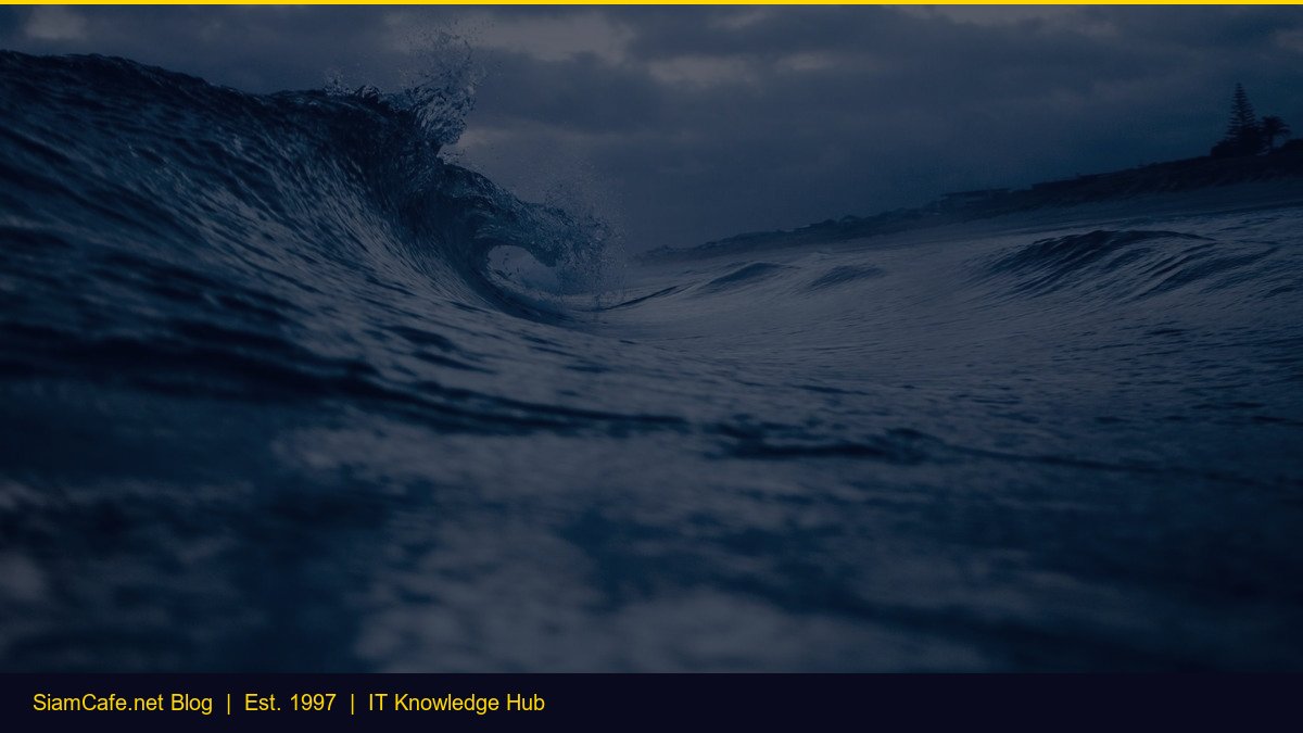 Ecommerce Platform — คู่มือฉบับสมบูรณ์