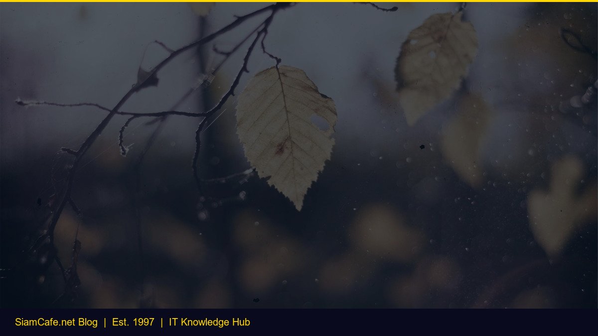 Elliott Wave Theory เบื้องต้น