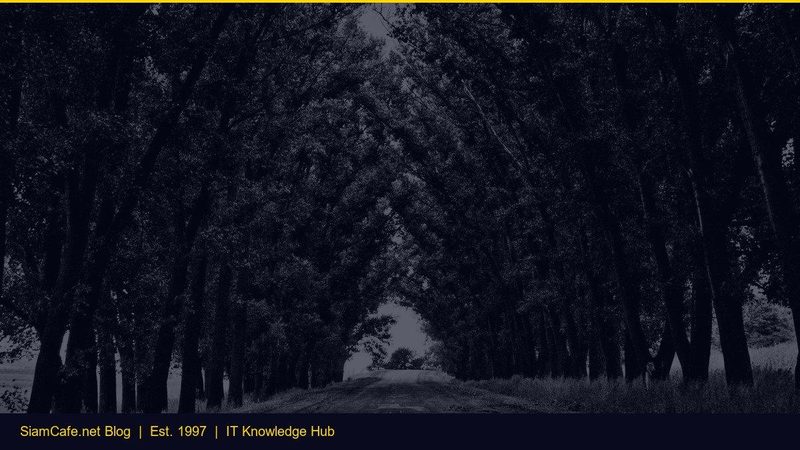 Ethernet Windows Server 2025 Step by Step