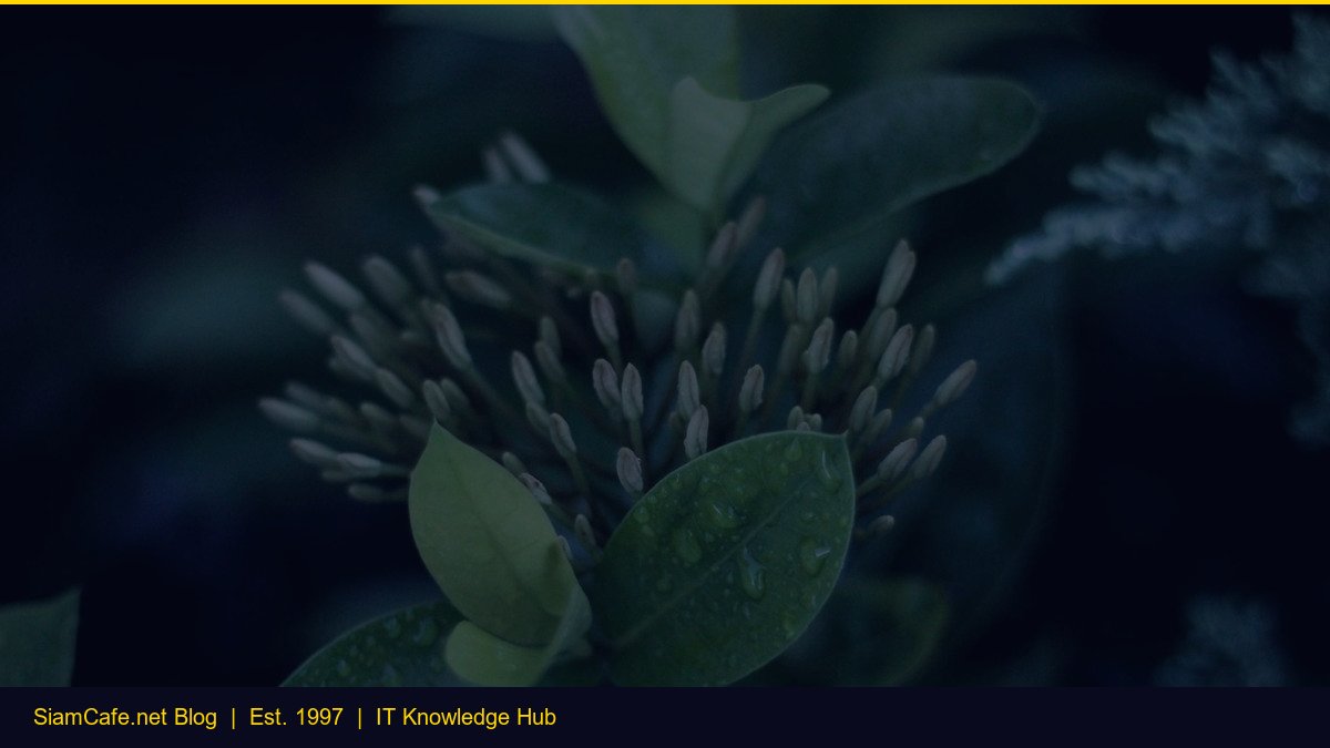 Everything Search vs Vmware [อัพเดท 2026]