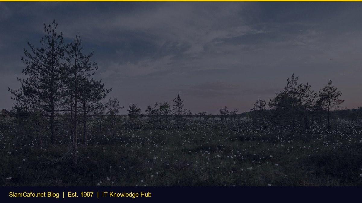 เทรนด์ External HDD ปี 2026 มีอะไรใหม่บ้าง — คู่มือฉบับสมบูรณ์