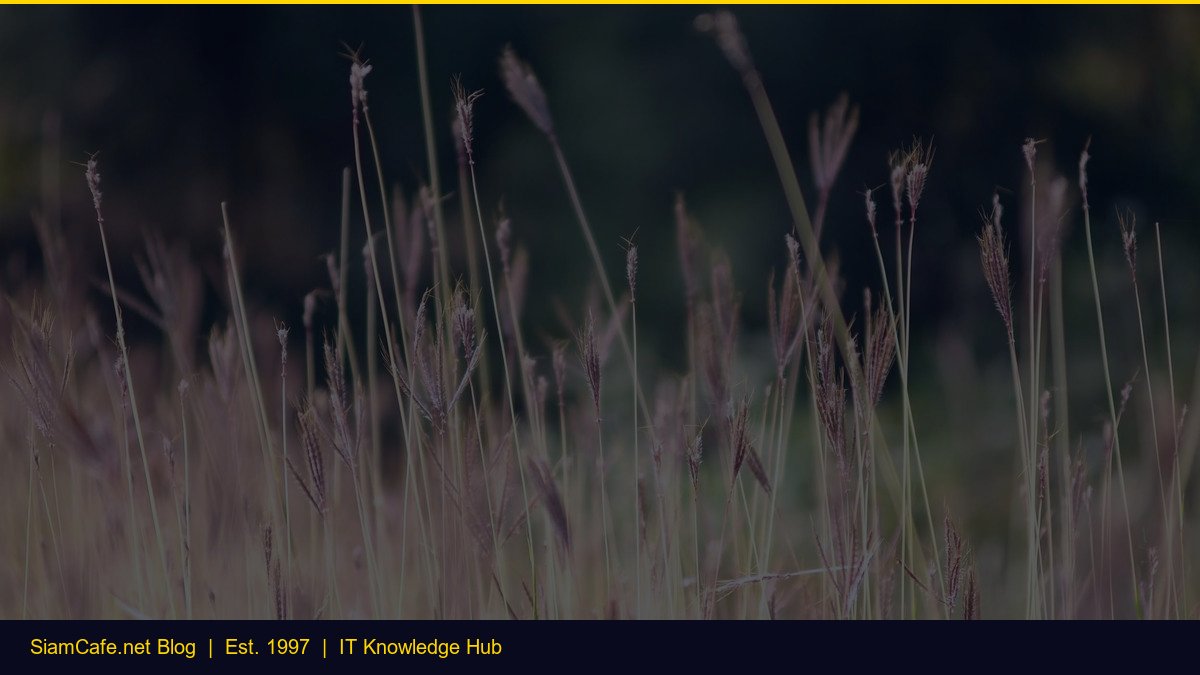 IPv6 เตรียมพร้อมอย่างไร [อัพเดท 2026]