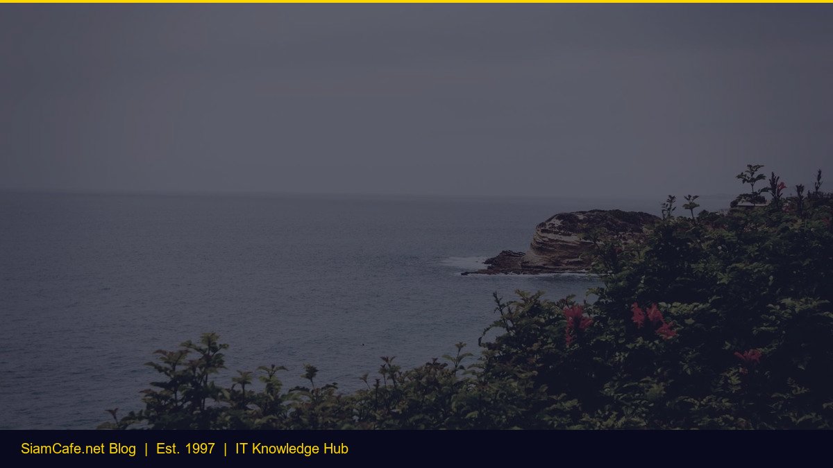 it Support — คู่มือฉบับสมบูรณ์