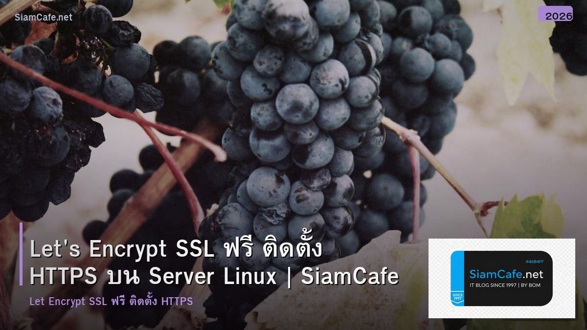 Let's Encrypt SSL ฟรี ติดตั้ง HTTPS บน Server Linux