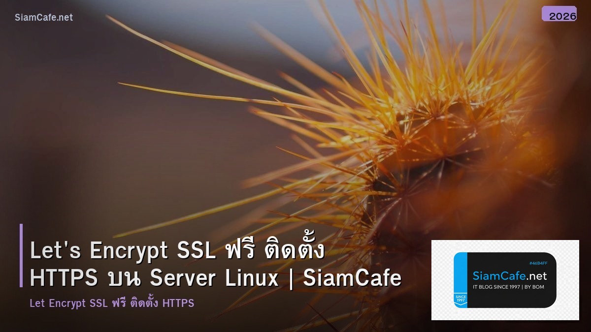 Let's Encrypt SSL ฟรี ติดตั้ง HTTPS บน Server Linux