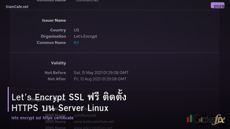 Let's Encrypt SSL ฟรี ติดตั้ง HTTPS บน Server Linux