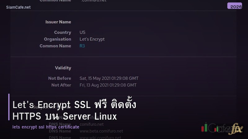 Let's Encrypt SSL ฟรี ติดตั้ง HTTPS บน Server Linux