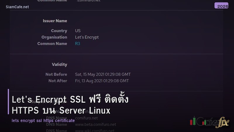 Let's Encrypt SSL ฟรี ติดตั้ง HTTPS บน Server Linux