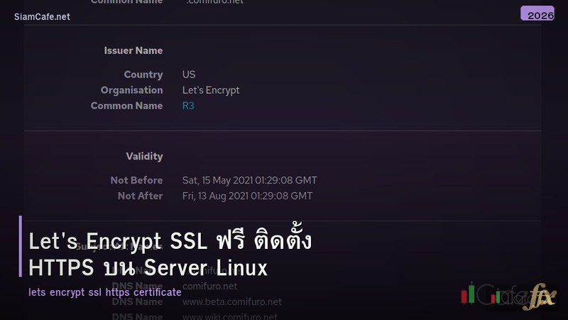 Let's Encrypt SSL ฟรี ติดตั้ง HTTPS บน Server Linux