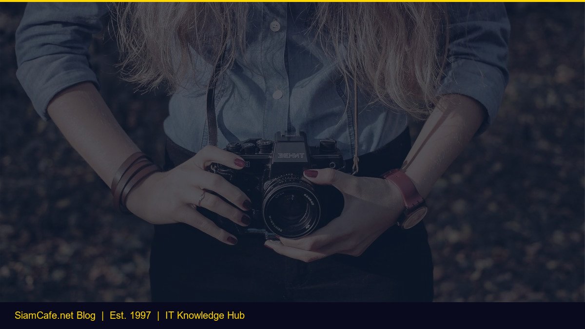 Lot Size [อัพเดท 2026]