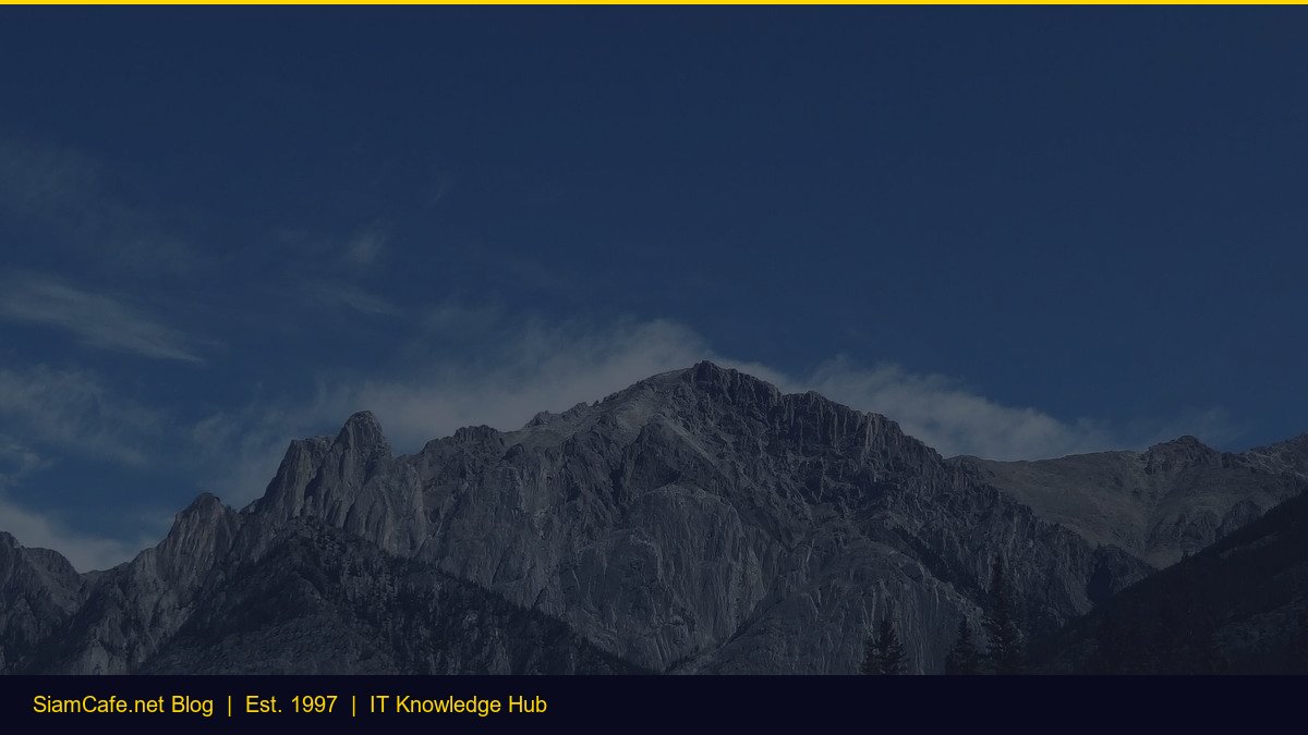 Man in The Middle 2026