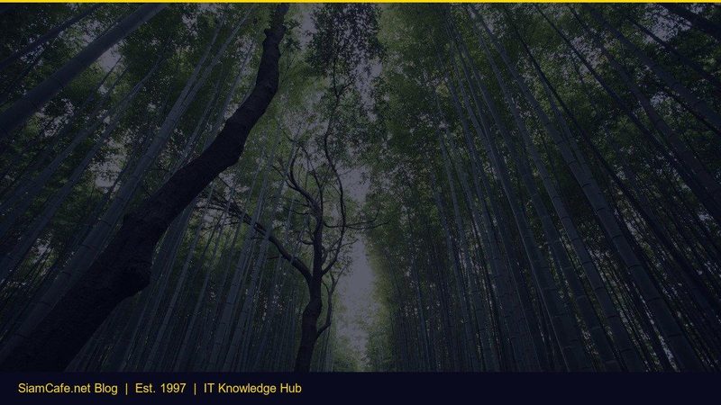 Misp Data Exfiltration [อัพเดท 2026]