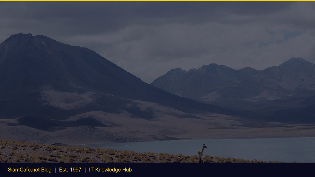 Monitor Wfh [อัพเดท 2026]