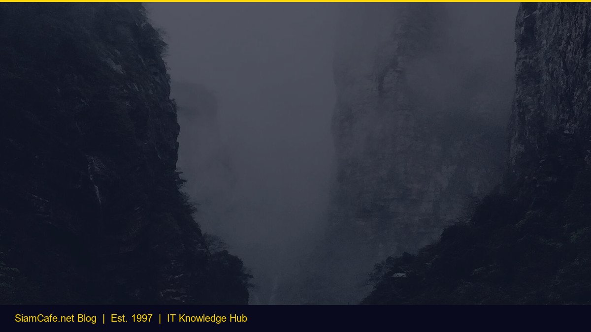 Mouse Ergonomic — คู่มือฉบับสมบูรณ์