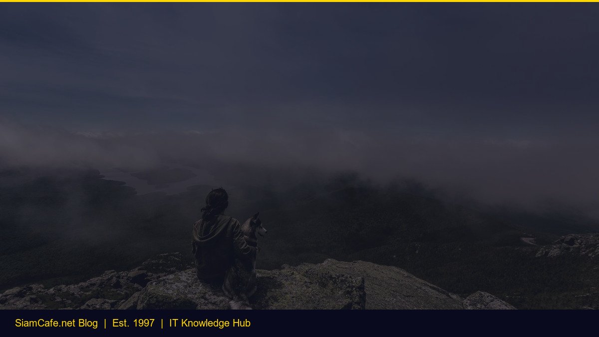 Mt5 Guide [อัพเดท 2026]