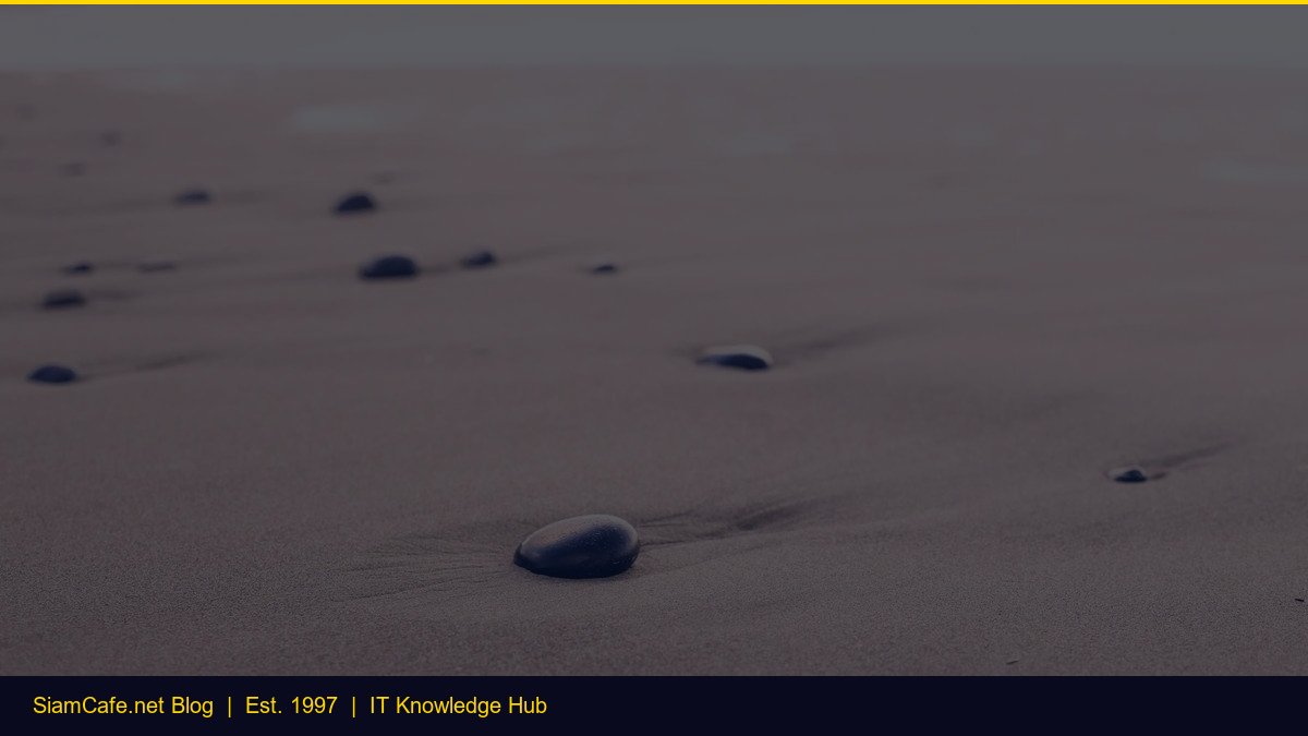 Python Backtesting Strategy — คู่มือฉบับสมบูรณ์