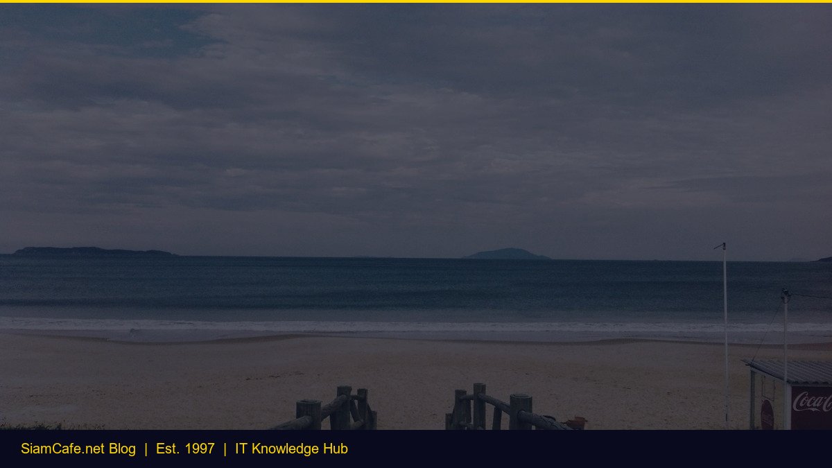 Real Time Chat Typeorm Step by Step [อัพเดท 2026]
