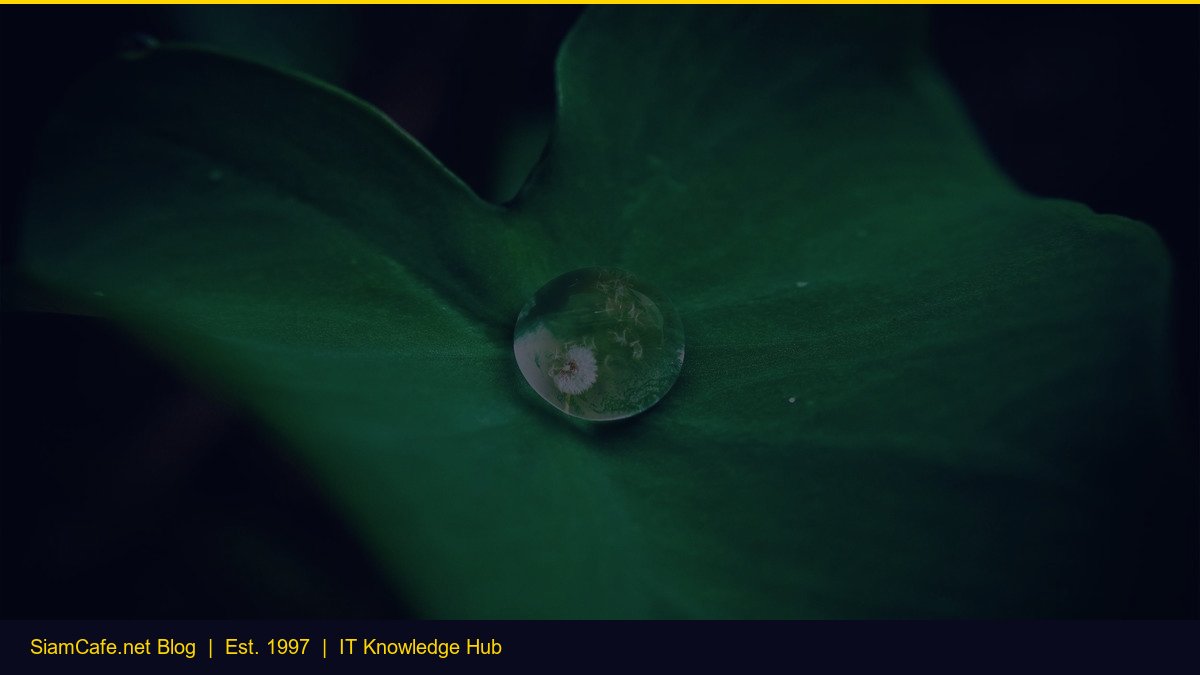 Smart Money Concept Smc สำหรับมือใหม่ — คู่มือฉบับสมบูรณ์