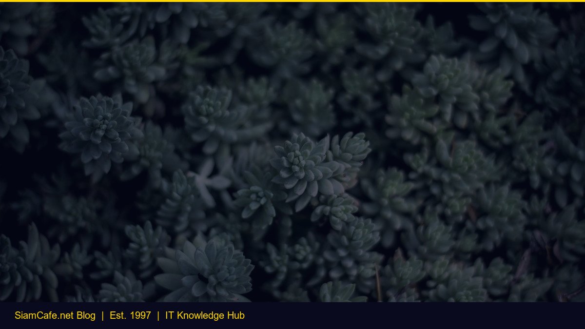 Ssd vs Hdd 2026 Compare