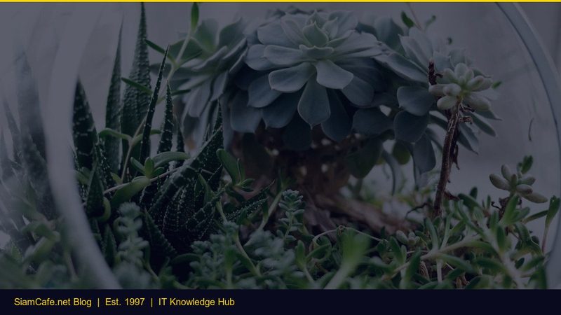 Text Summarizer Dvc Step by Step