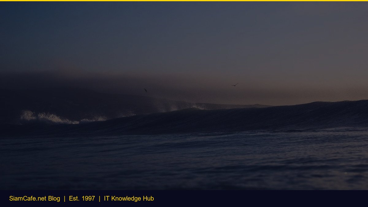 Video Conferencing [อัพเดท 2026]