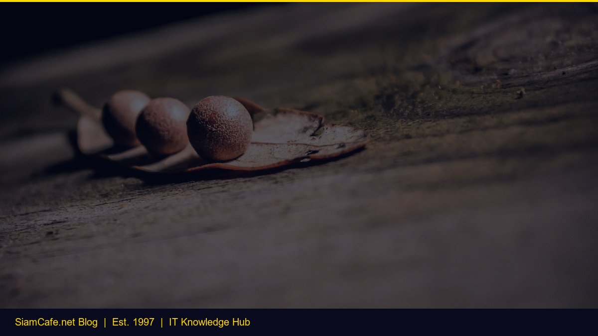 Vitess vs Cassandra Database [อัพเดท 2026]