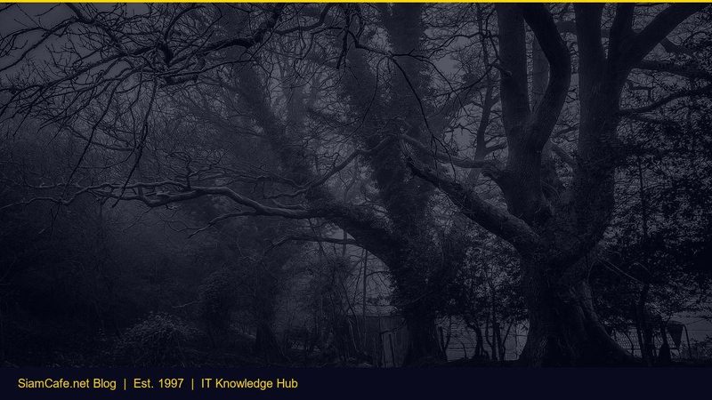 Vpn Guide — คู่มือฉบับสมบูรณ์