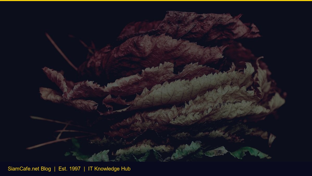 Wanalyse Forex Wan ni — คู่มือฉบับสมบูรณ์