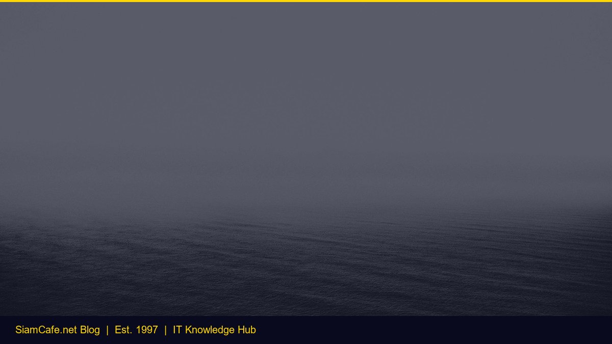 Web Dev Roadmap — คู่มือฉบับสมบูรณ์