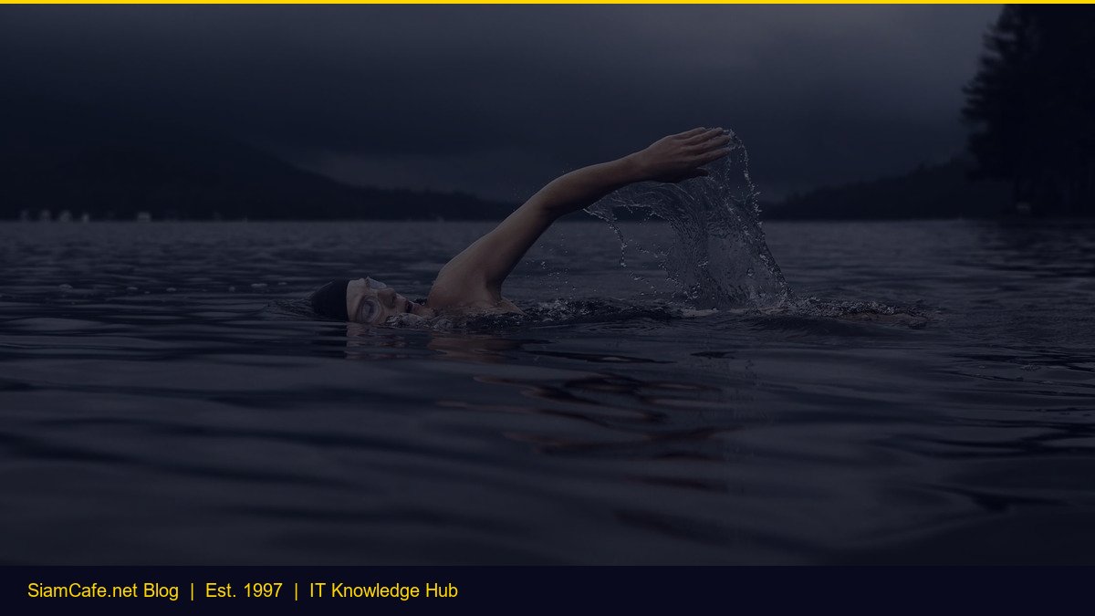 Web Development Roadmap — คู่มือฉบับสมบูรณ์