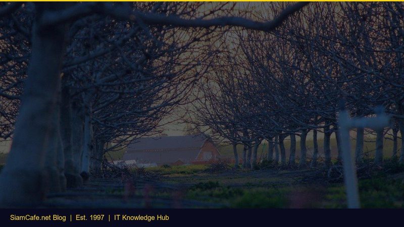 Windows 11 Tips Tricks — คู่มือฉบับสมบูรณ์